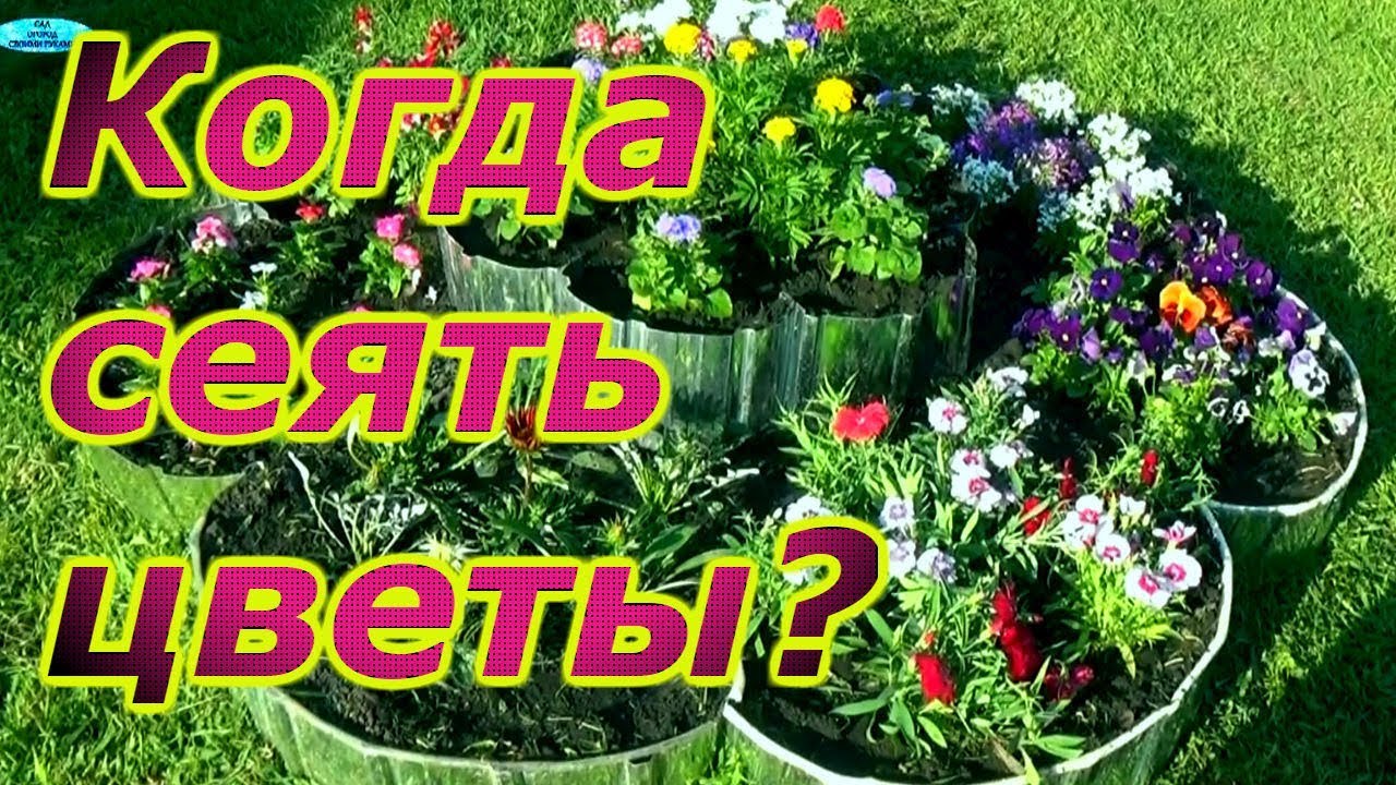 Нажмите, чтобы запустить видео
