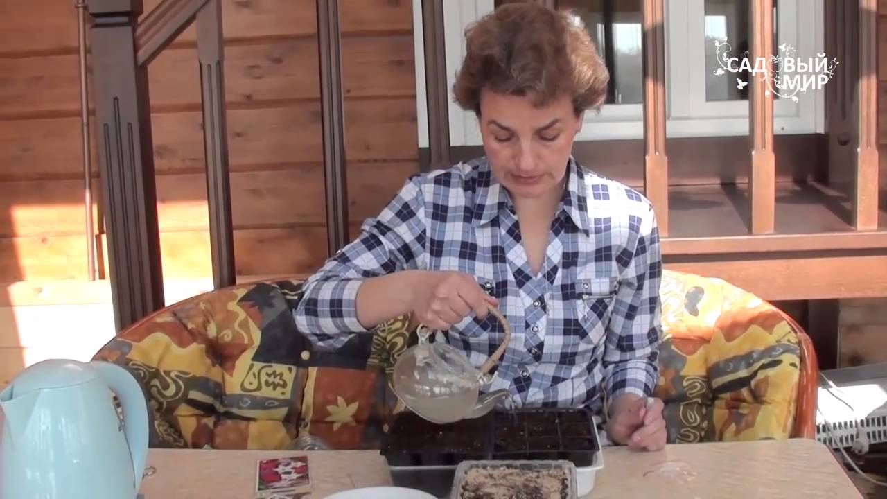Нажмите, чтобы запустить видео