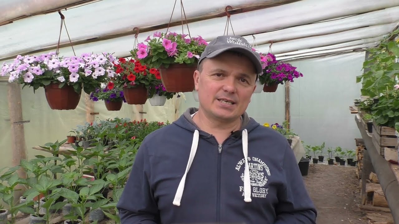 Нажмите, чтобы запустить видео