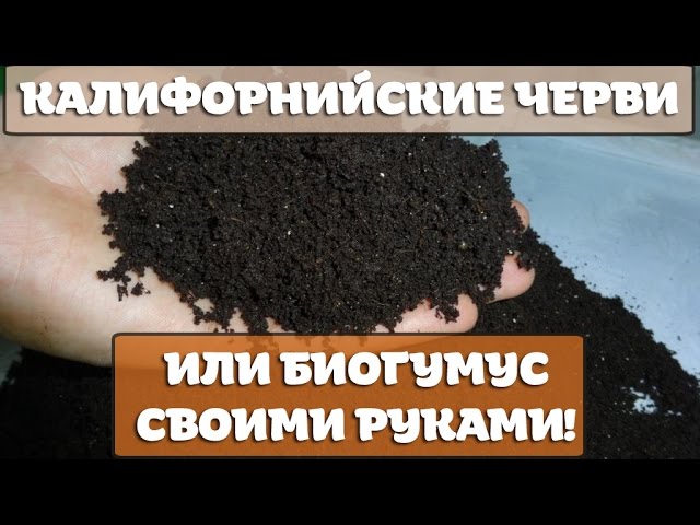 Нажмите, чтобы запустить видео
