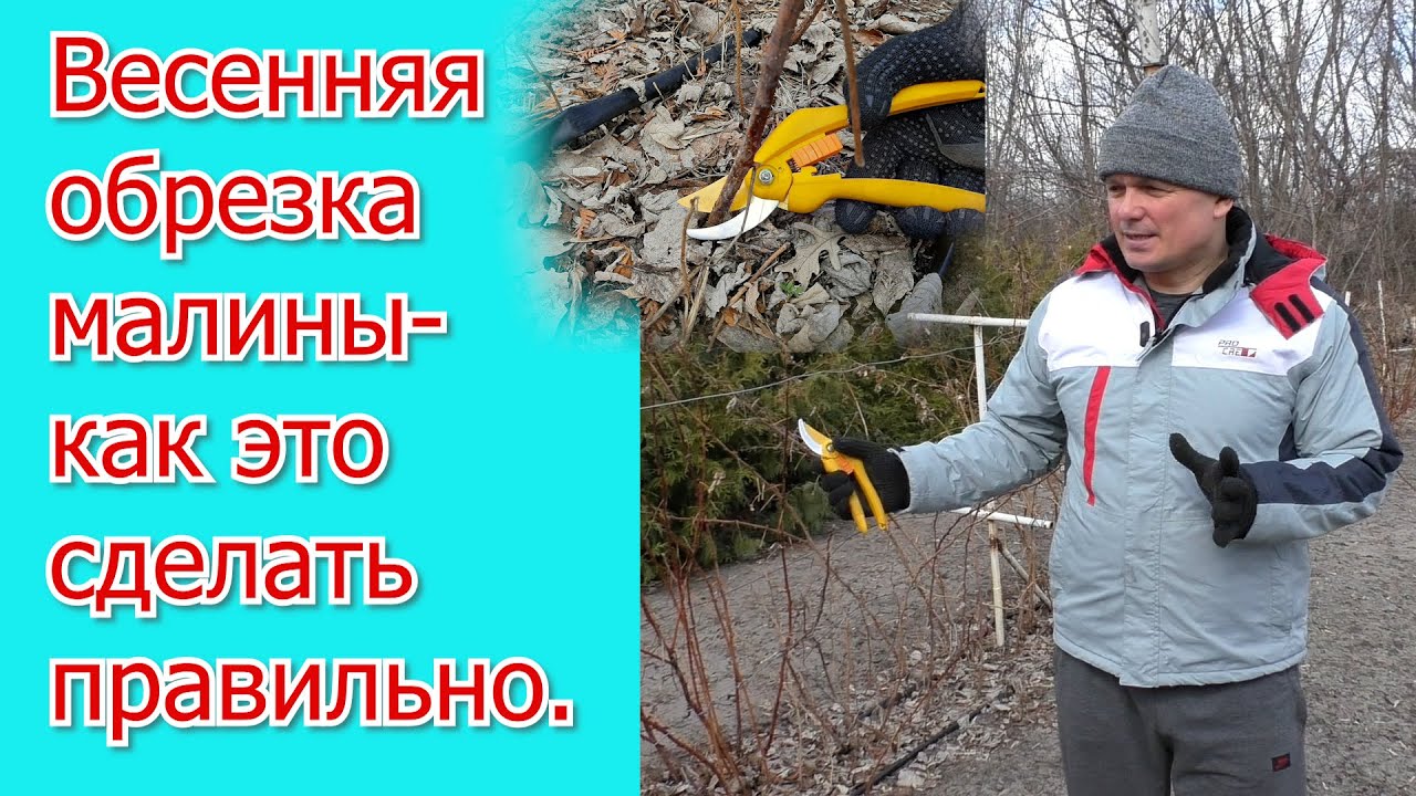 Нажмите, чтобы запустить видео