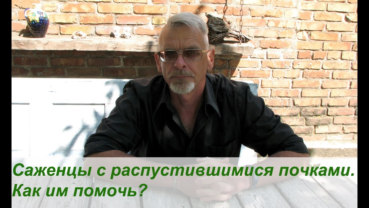 Нажмите, чтобы запустить видео