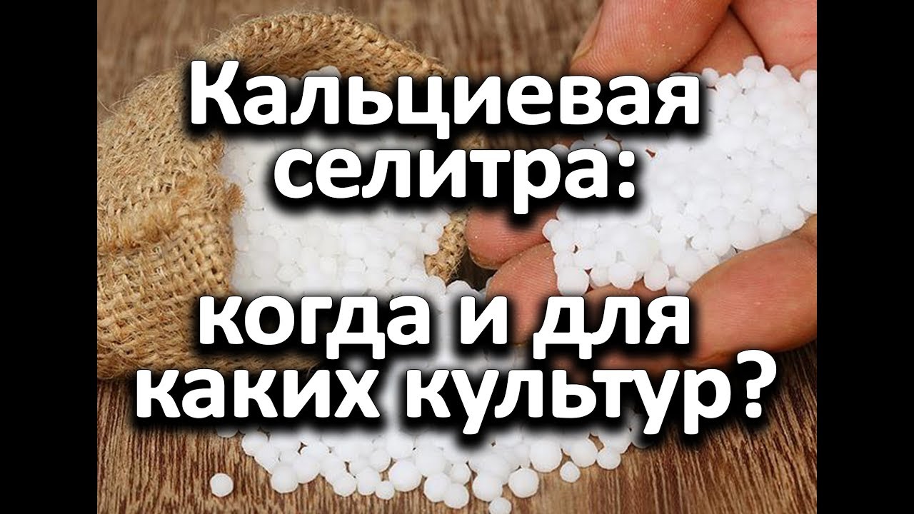 Нажмите, чтобы запустить видео