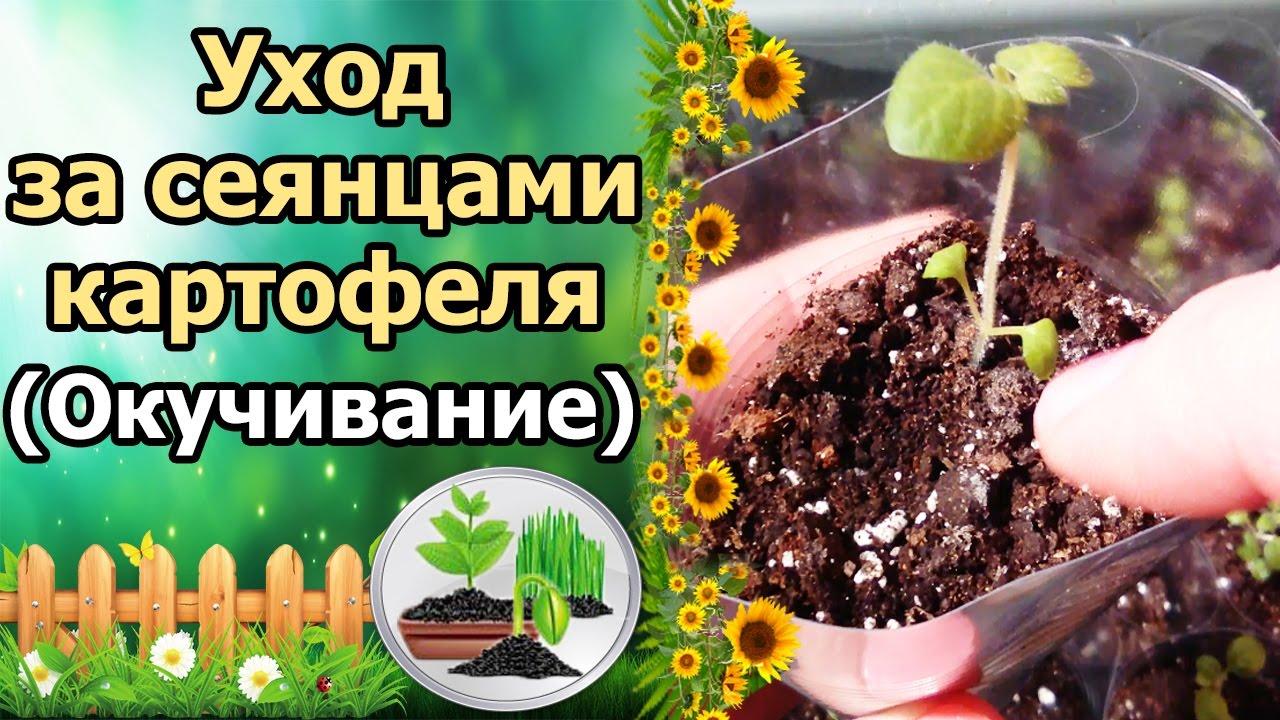 Нажмите, чтобы запустить видео