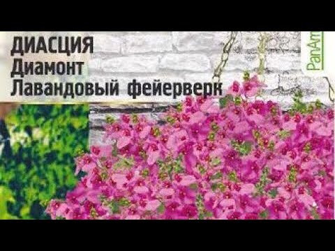 Нажмите, чтобы запустить видео