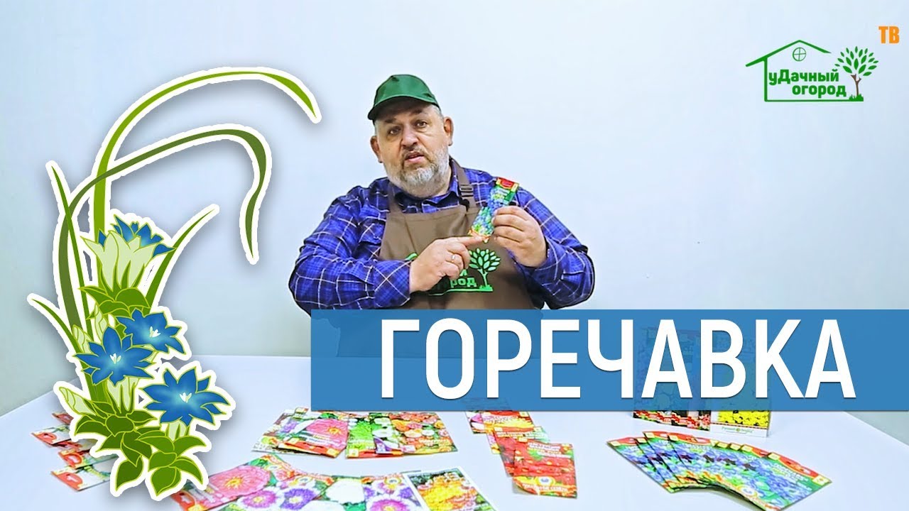 Нажмите, чтобы запустить видео