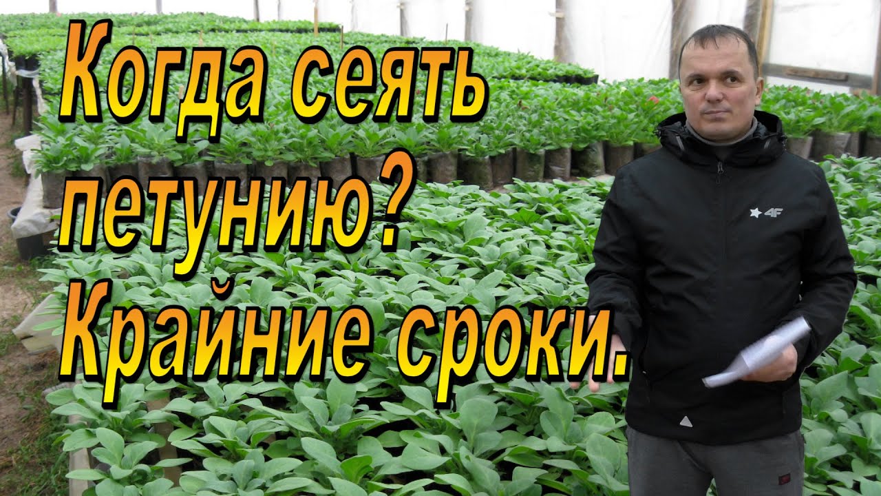 Нажмите, чтобы запустить видео