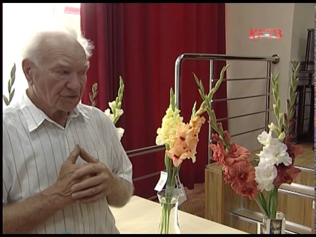 Нажмите, чтобы запустить видео