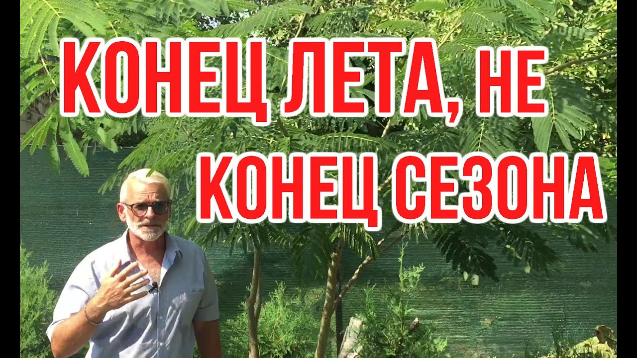 Нажмите, чтобы запустить видео