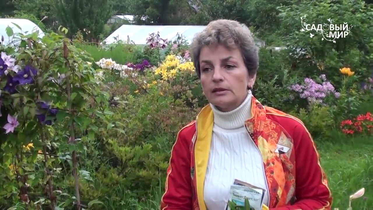 Нажмите, чтобы запустить видео