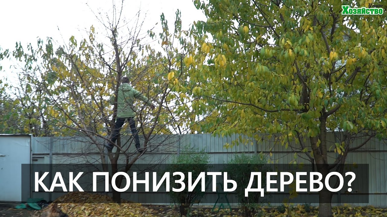 Нажмите, чтобы запустить видео