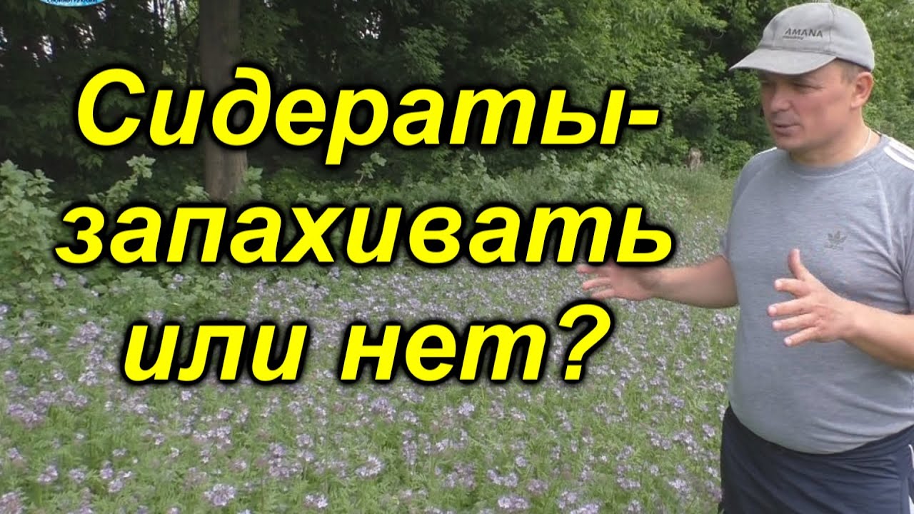 Нажмите, чтобы запустить видео