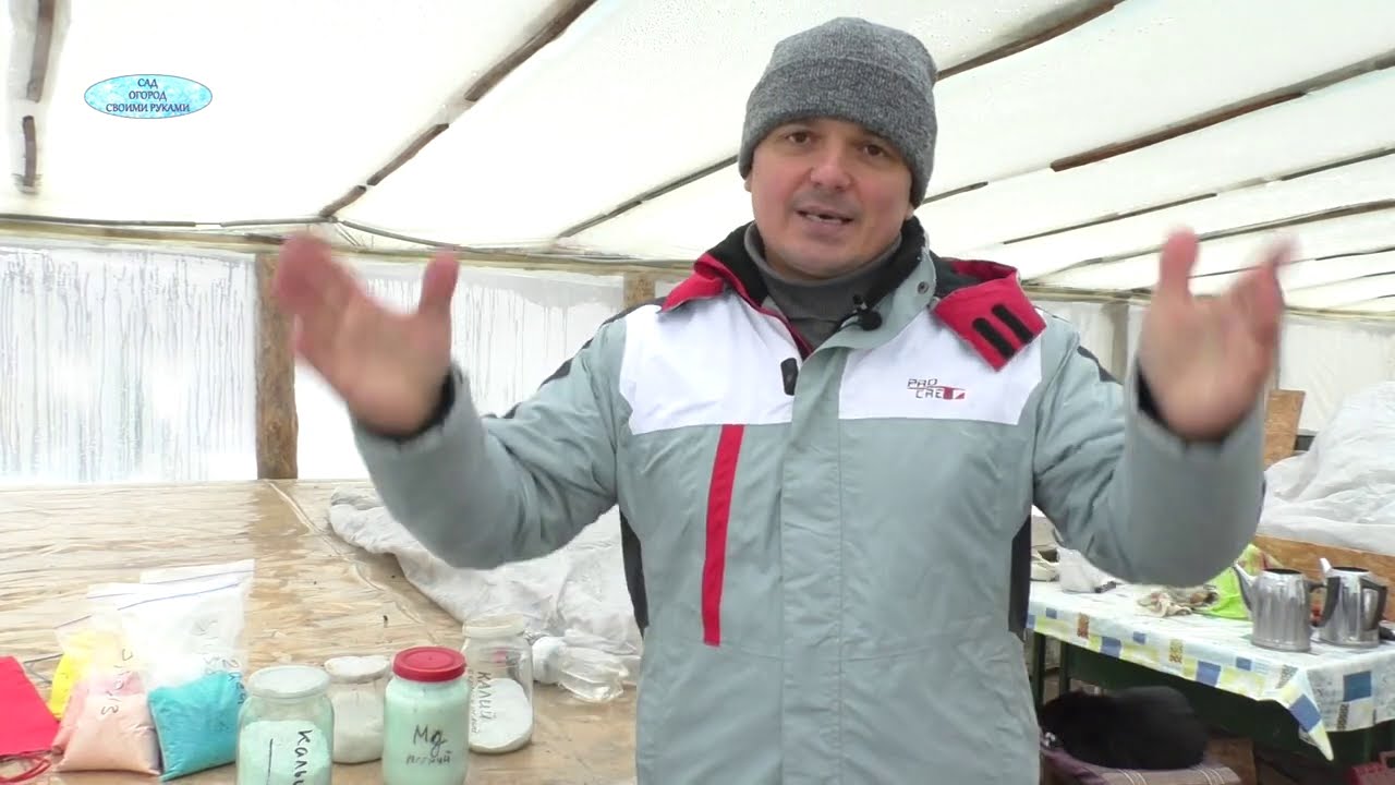 Нажмите, чтобы запустить видео