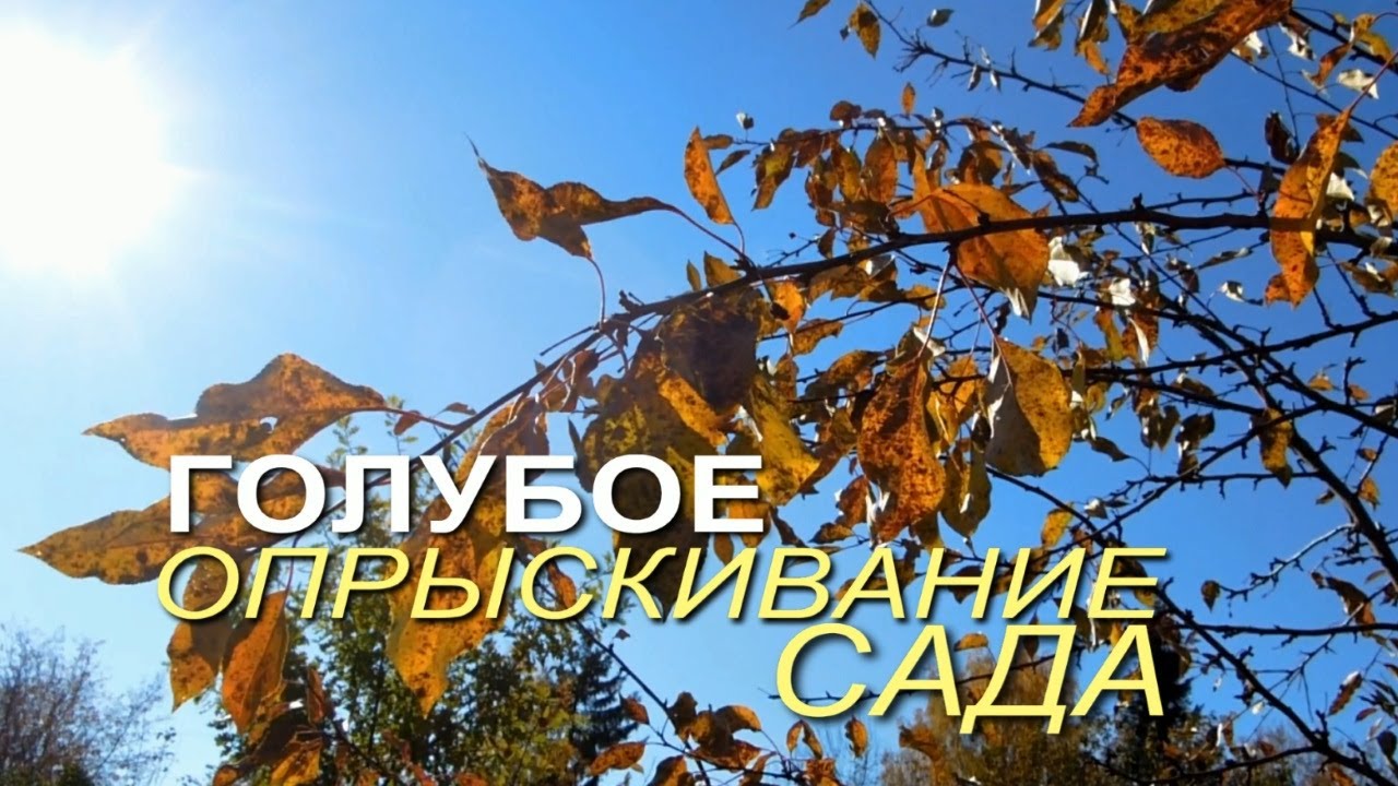 Нажмите, чтобы запустить видео