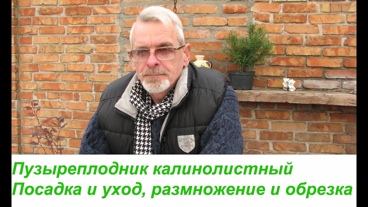Нажмите, чтобы запустить видео