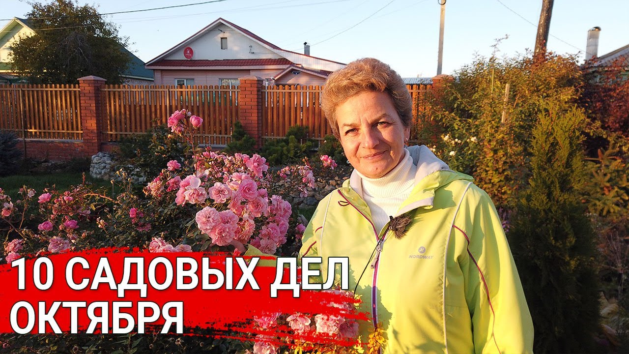 Нажмите, чтобы запустить видео
