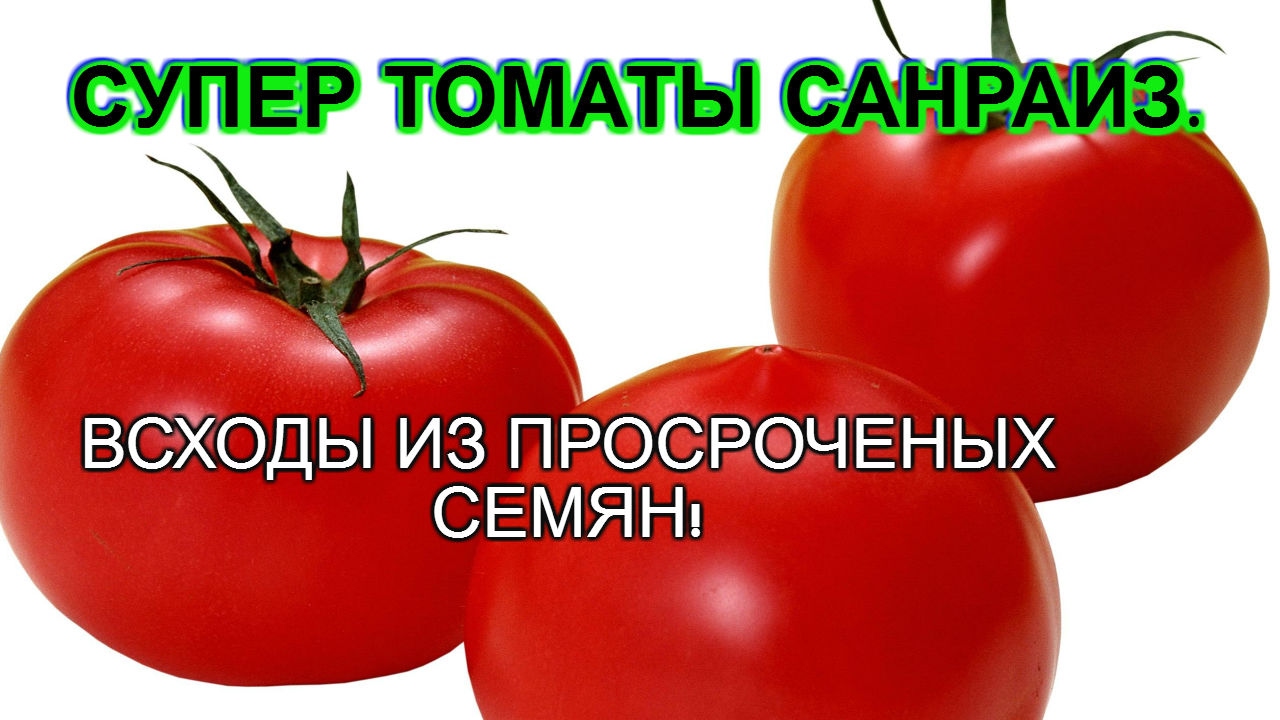 Нажмите, чтобы запустить видео