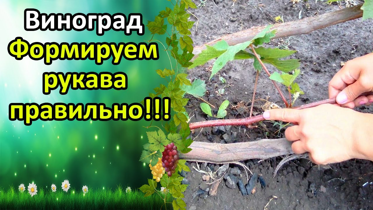 Нажмите, чтобы запустить видео