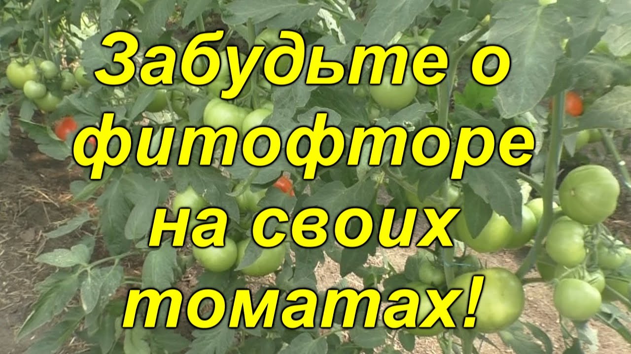 Нажмите, чтобы запустить видео