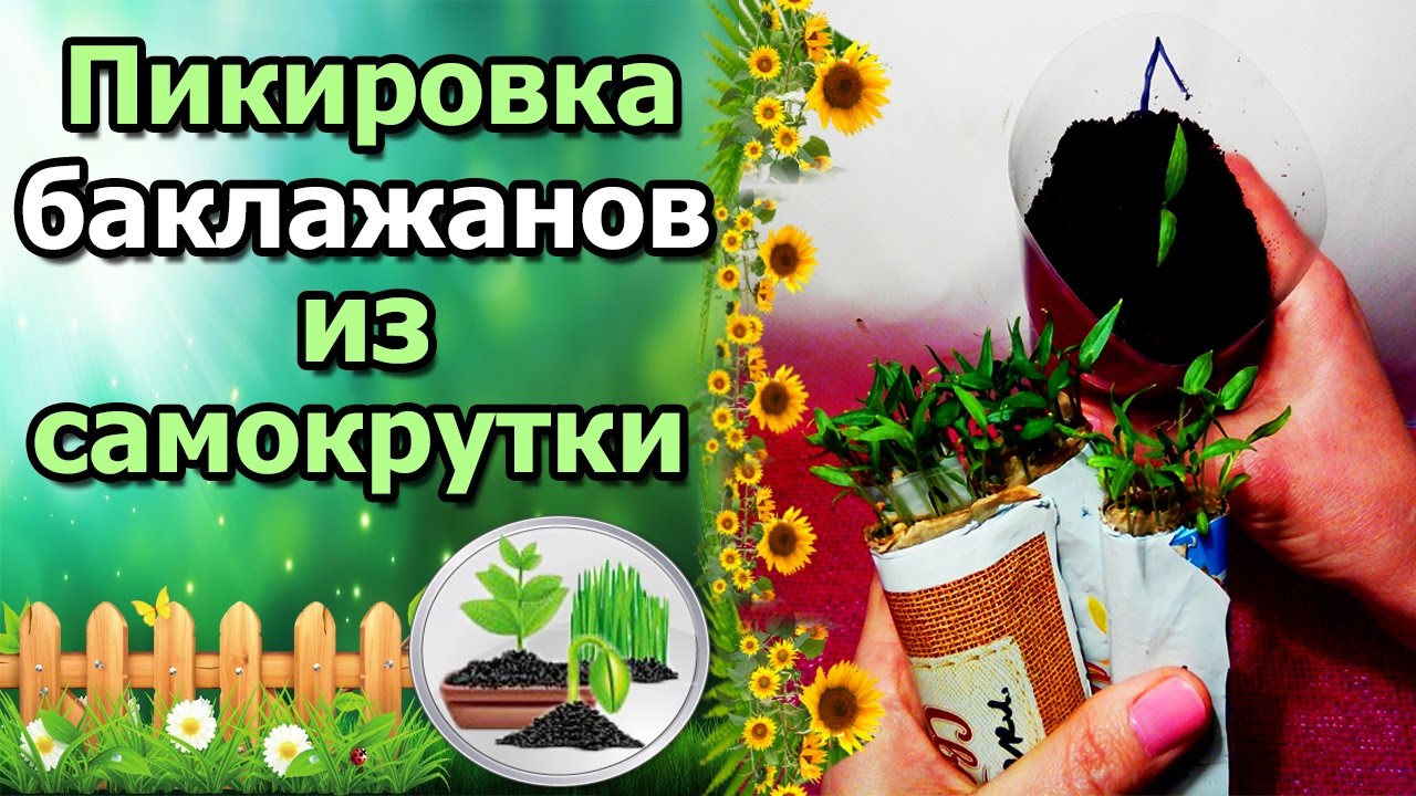 Нажмите, чтобы запустить видео