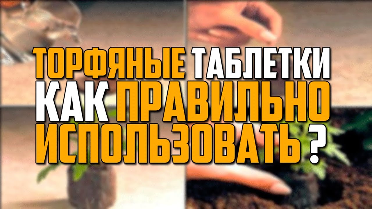 Нажмите, чтобы запустить видео