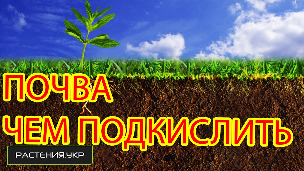 Нажмите, чтобы запустить видео