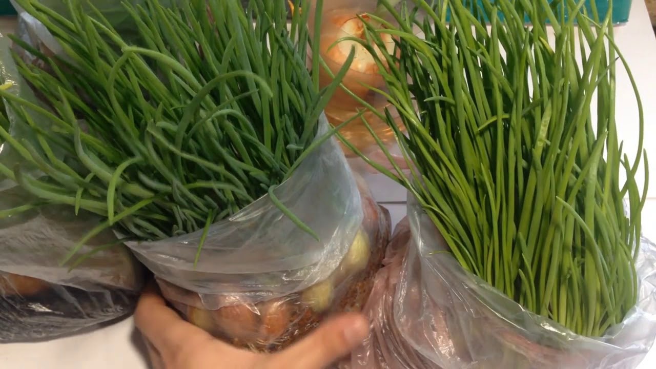 Нажмите, чтобы запустить видео