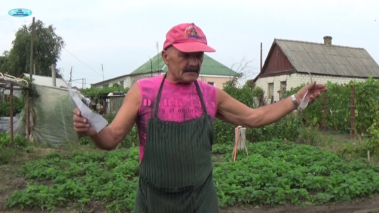 Нажмите, чтобы запустить видео