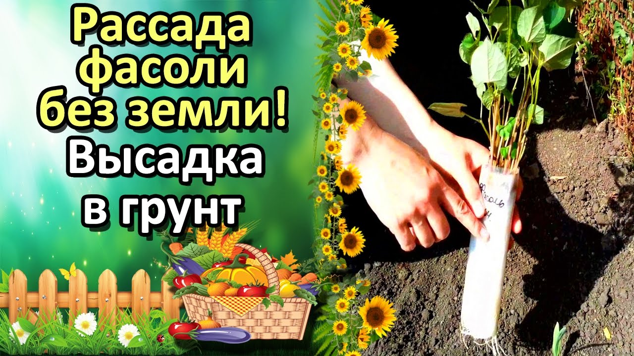 Нажмите, чтобы запустить видео
