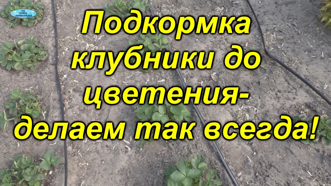 Нажмите, чтобы запустить видео