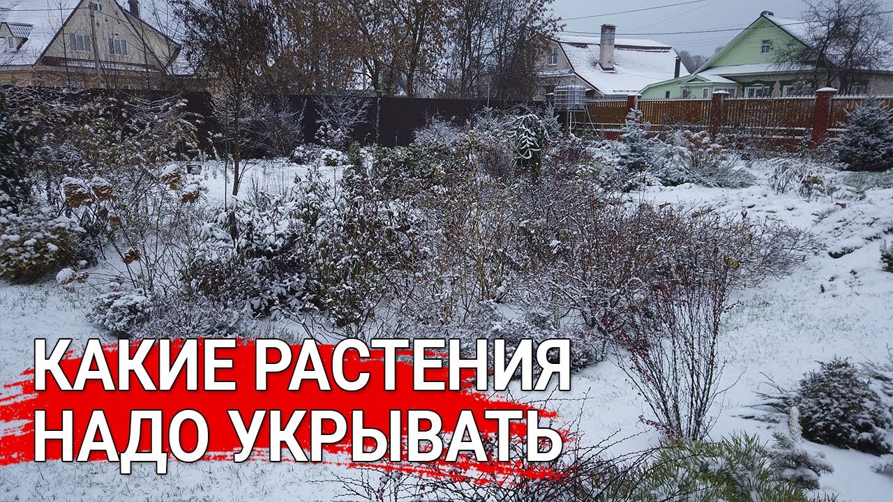 Нажмите, чтобы запустить видео