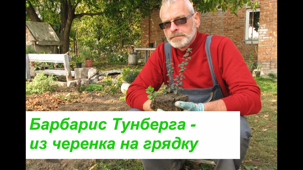 Нажмите, чтобы запустить видео