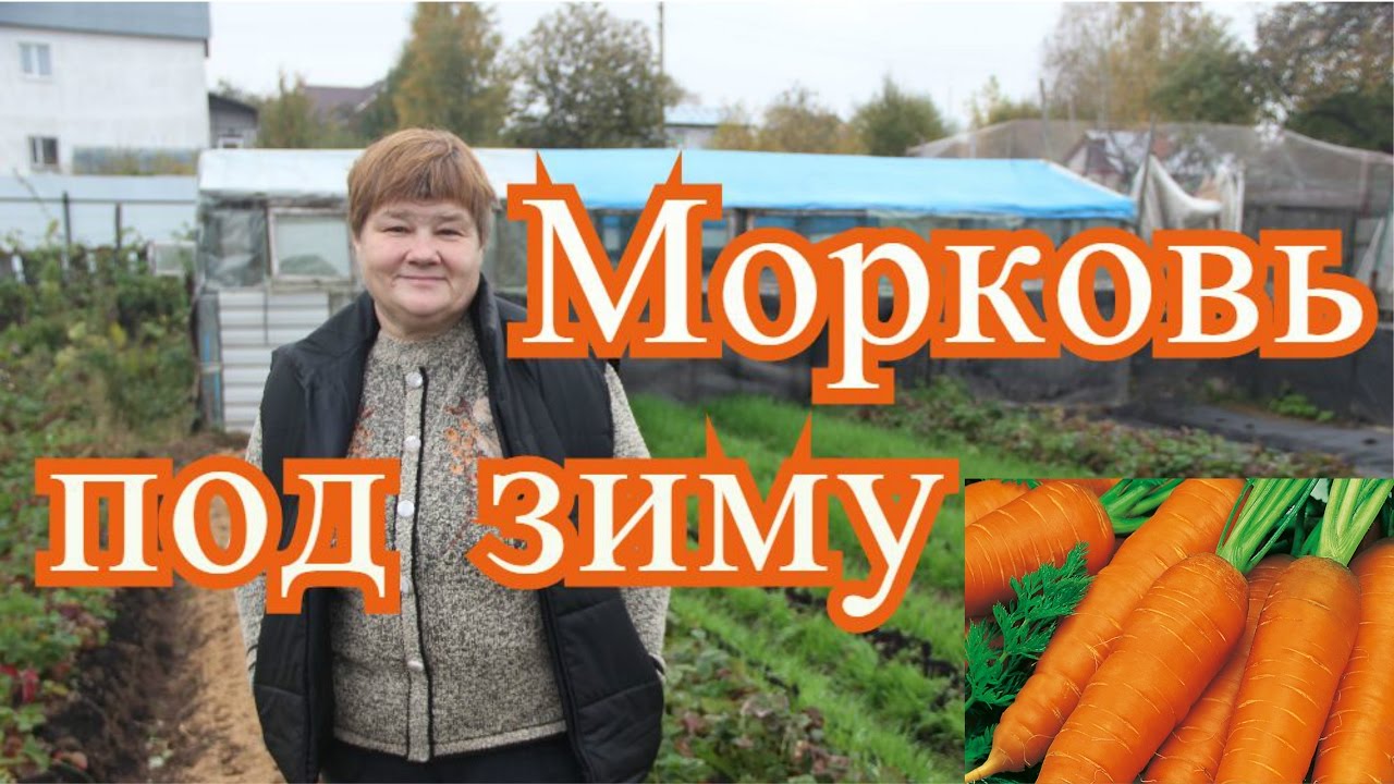 Нажмите, чтобы запустить видео