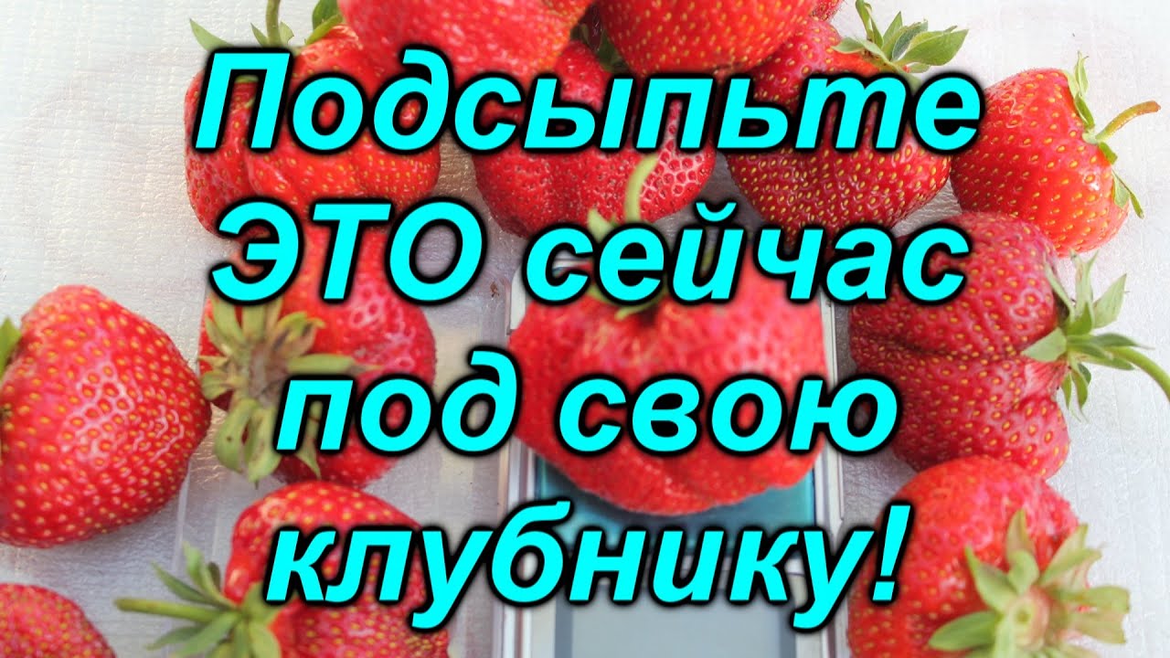 Нажмите, чтобы запустить видео