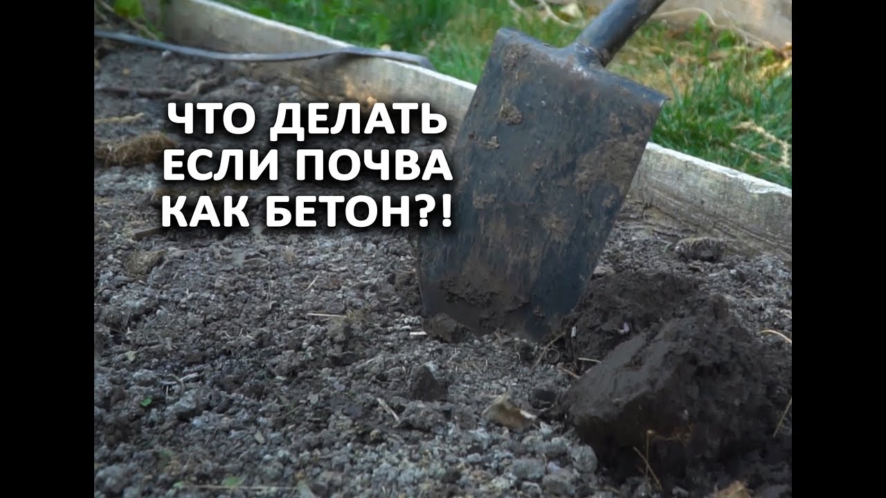 Нажмите, чтобы запустить видео