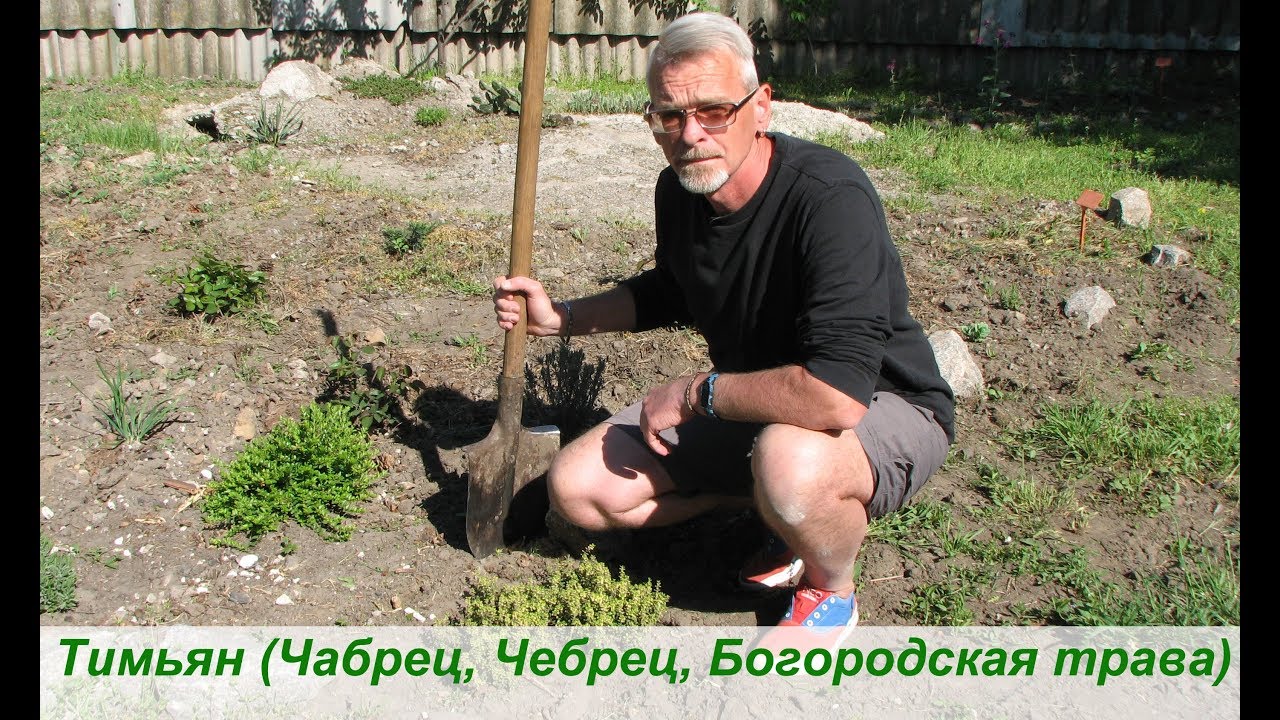 Нажмите, чтобы запустить видео