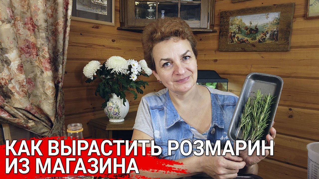 Нажмите, чтобы запустить видео