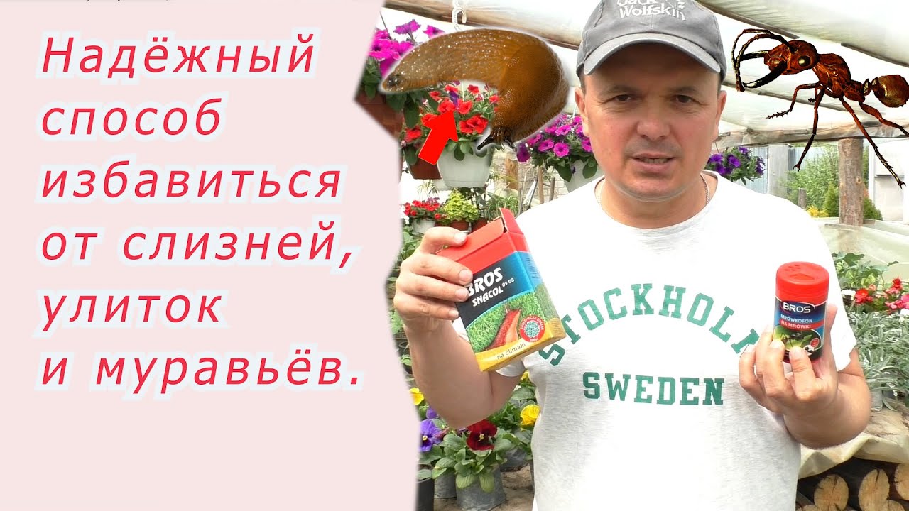 Нажмите, чтобы запустить видео