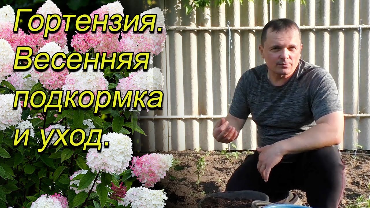 Нажмите, чтобы запустить видео