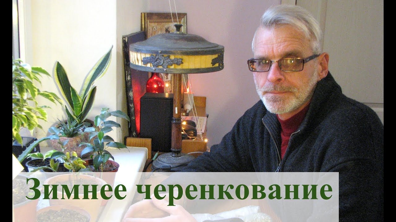 Нажмите, чтобы запустить видео