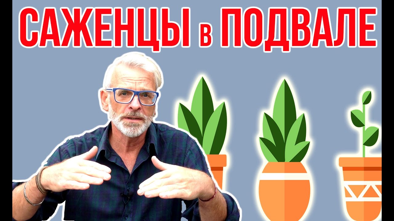 Нажмите, чтобы запустить видео