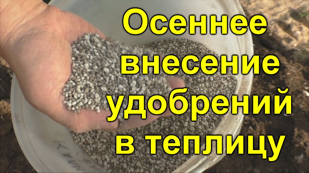 Нажмите, чтобы запустить видео