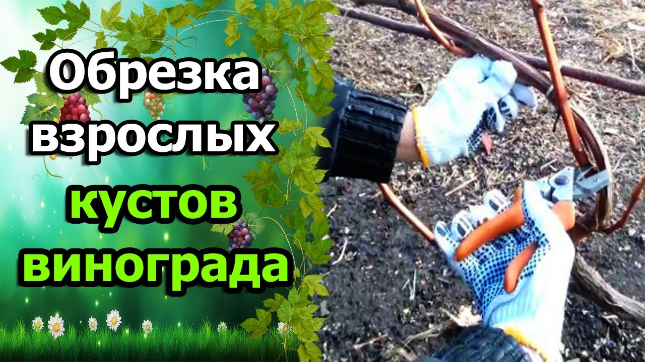 Нажмите, чтобы запустить видео