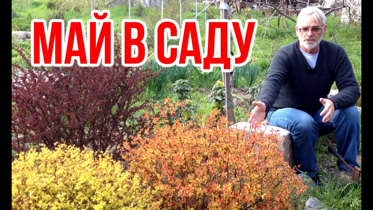 Нажмите, чтобы запустить видео