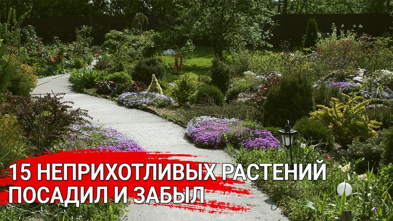 Нажмите, чтобы запустить видео