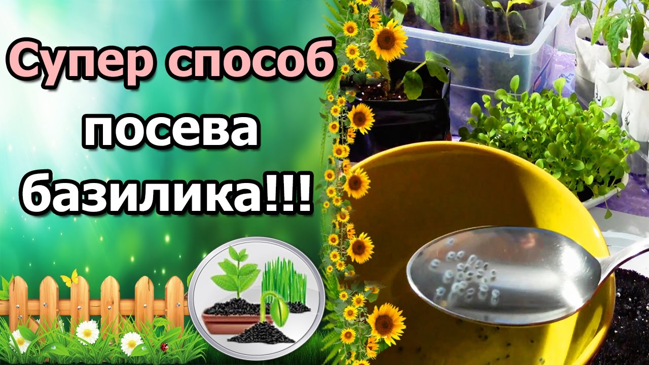 Нажмите, чтобы запустить видео