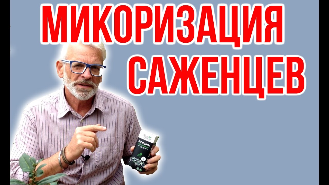 Нажмите, чтобы запустить видео