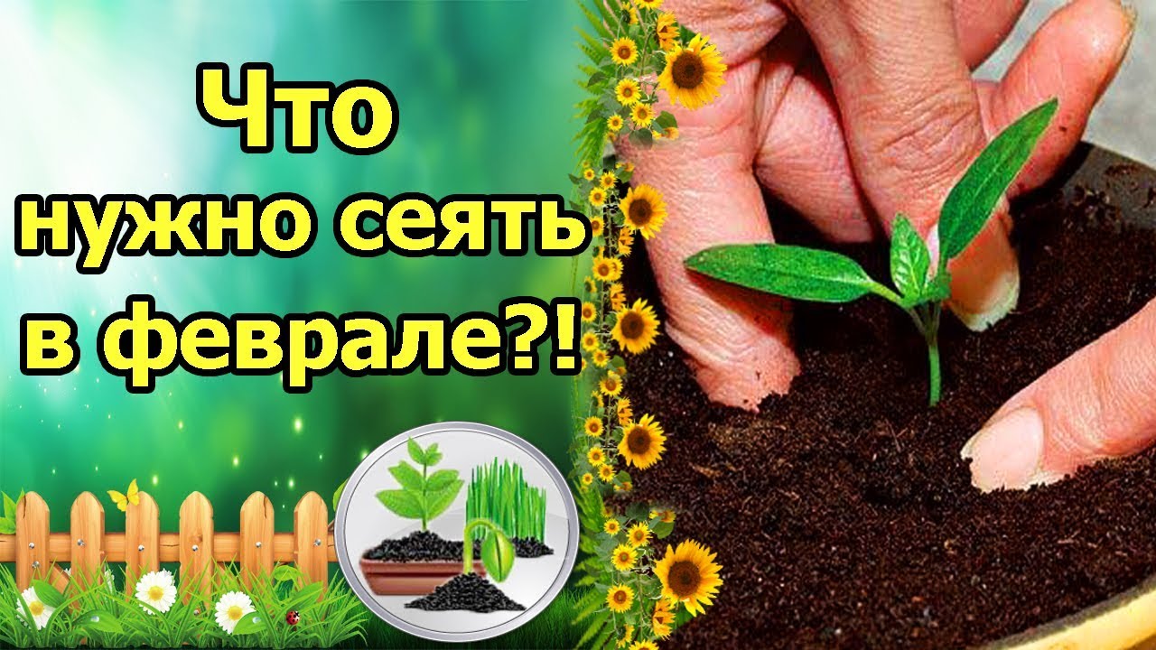 Нажмите, чтобы запустить видео