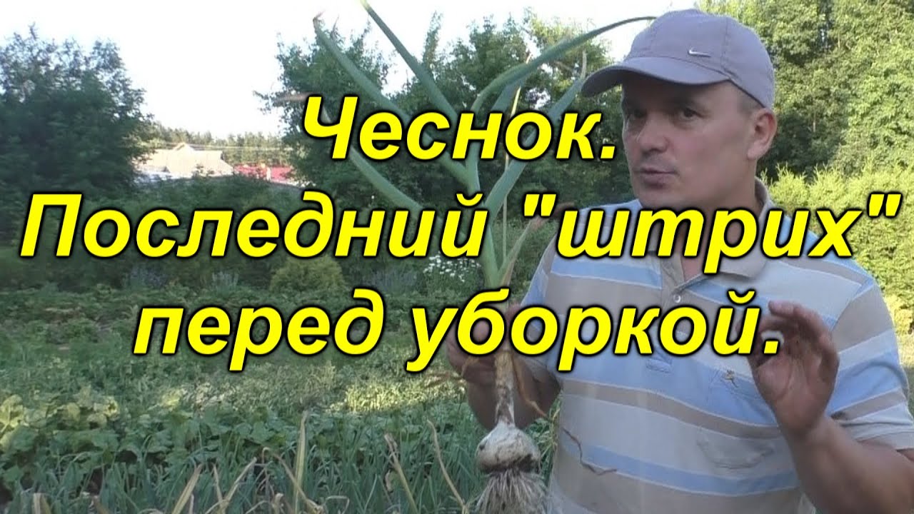 Нажмите, чтобы запустить видео