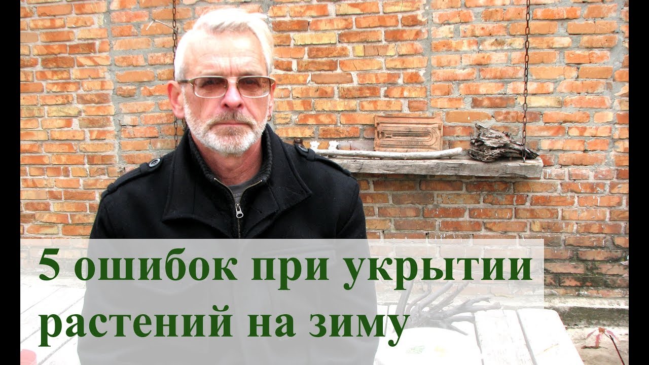 Нажмите, чтобы запустить видео